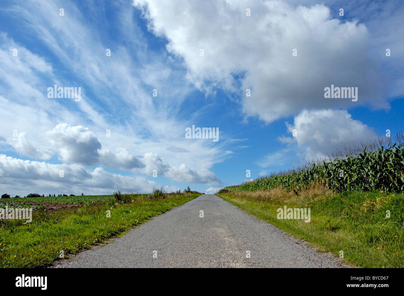 Chemin Rural - Empty country road - droites routes rurales Banque D'Images