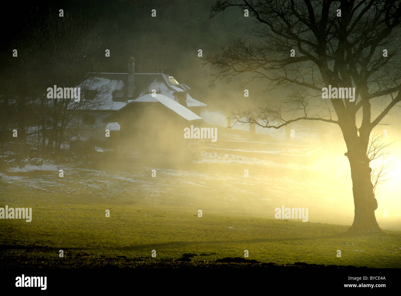 Gîte rural dans le brouillard avec arbre, autmn Chaumont, Jura, Neuchâtel, Suisse Banque D'Images