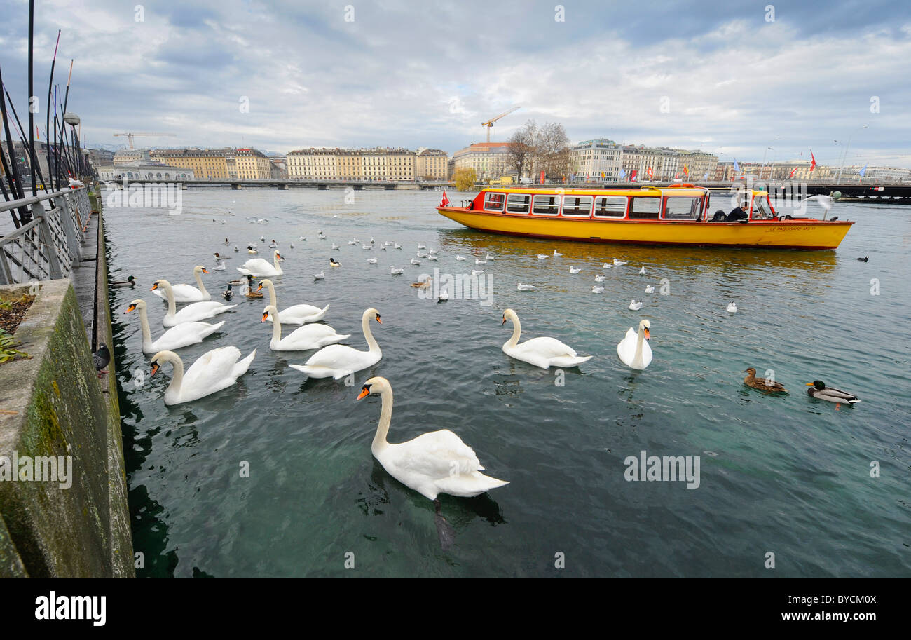 Un ferry jaune sur le front de mer de la ville de Genève, sur le lac de Genève en Suisse. Banque D'Images