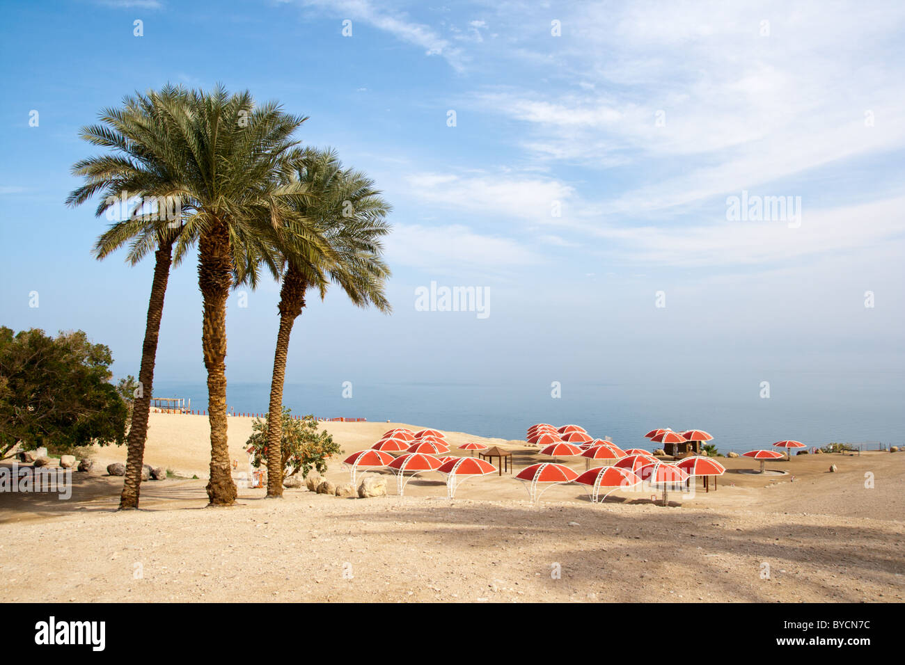 Ein Gedi oase à la mer Morte. Israël Banque D'Images