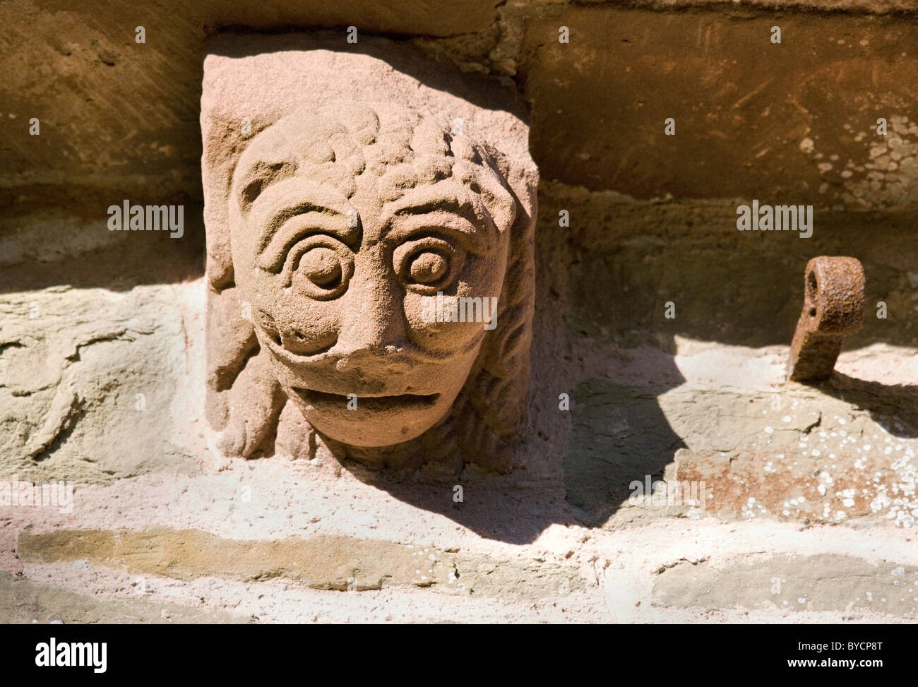 Un lion sculpté de corbel comme bête sur les murs de l'église paroissiale de Kilpeck près de Hereford en Angleterre Banque D'Images