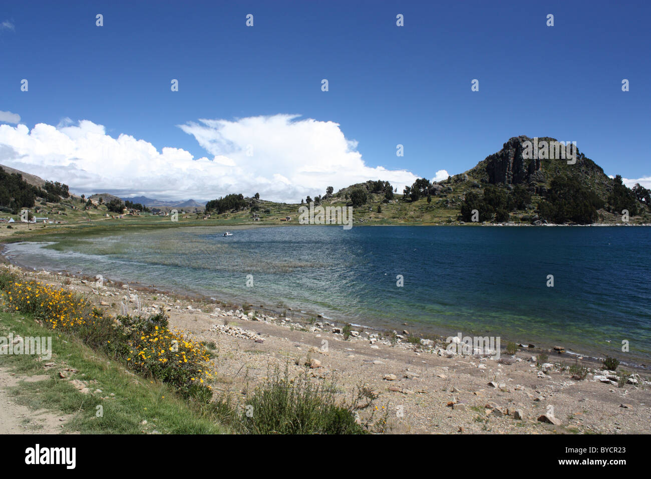Des rives du lac Titicaca Banque D'Images