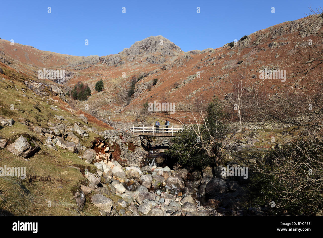 Passerelle au-dessus de Stickle Ghyll avec Tarn Crag derrière Langdale Lake District Cumbria UK Banque D'Images