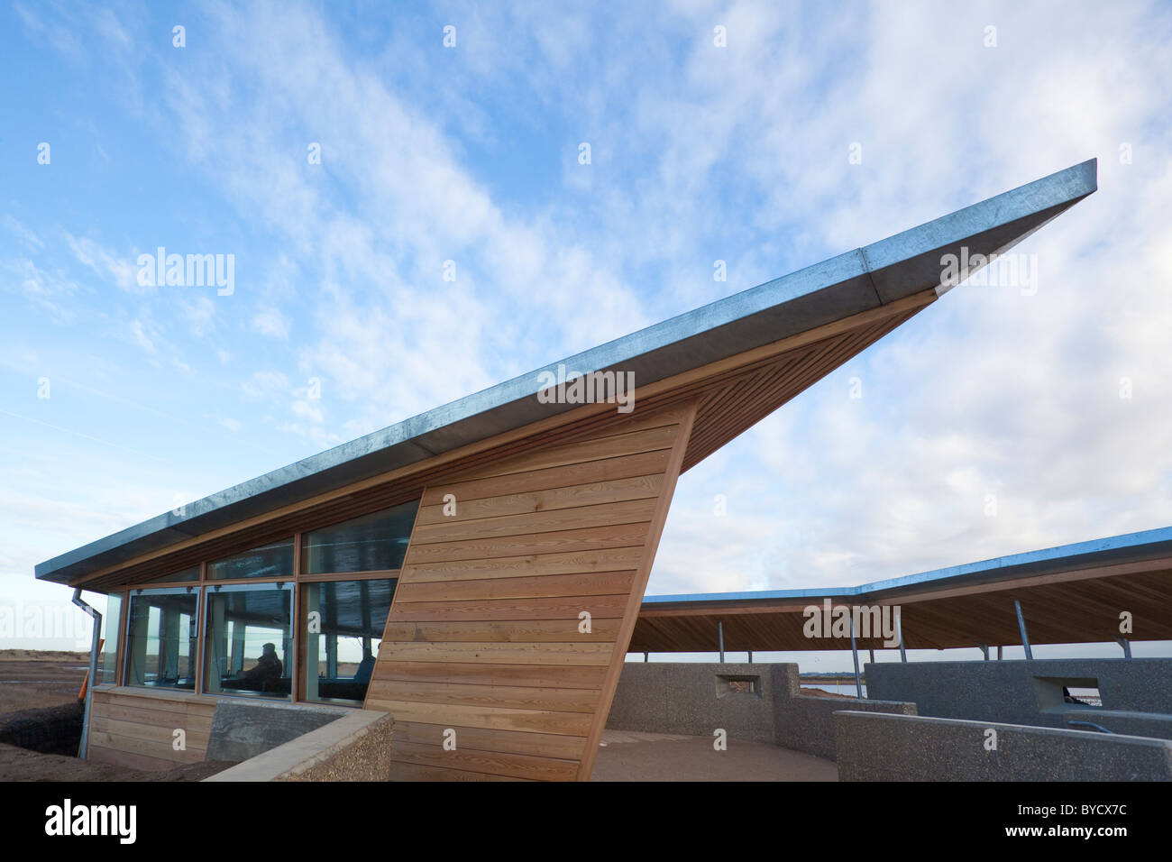 Nouveau masque, RSPB Titchwell Parrinder, Norfolk, UK, hiver Banque D'Images