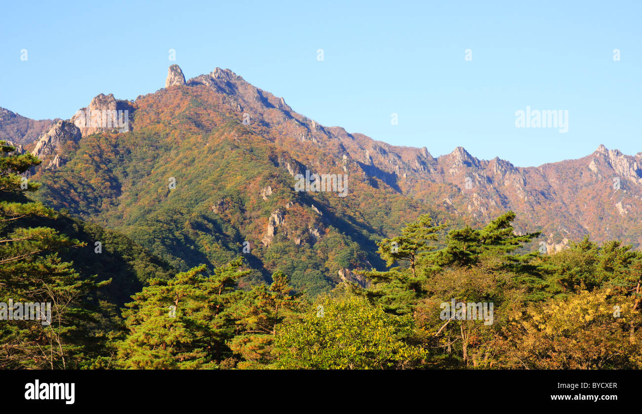 Montagnes Seoraksan matin, Corée du Sud Banque D'Images