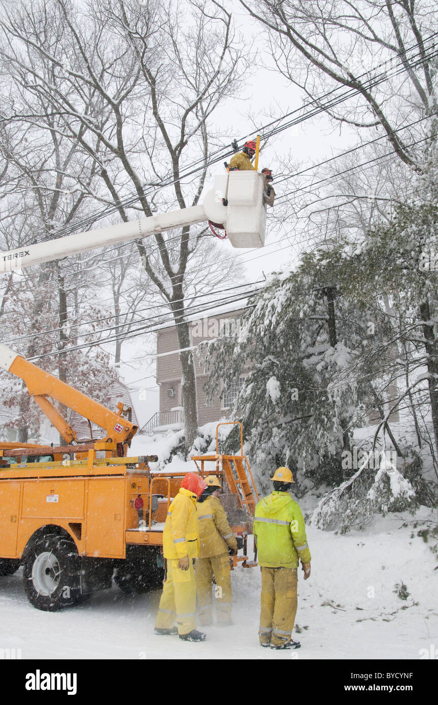 Les travailleurs des services publics dans la région de Wakefield, Massachusetts) ont tendance à les lignes qui ont été endommagés par la chute de branches, la neige et la glace. Banque D'Images