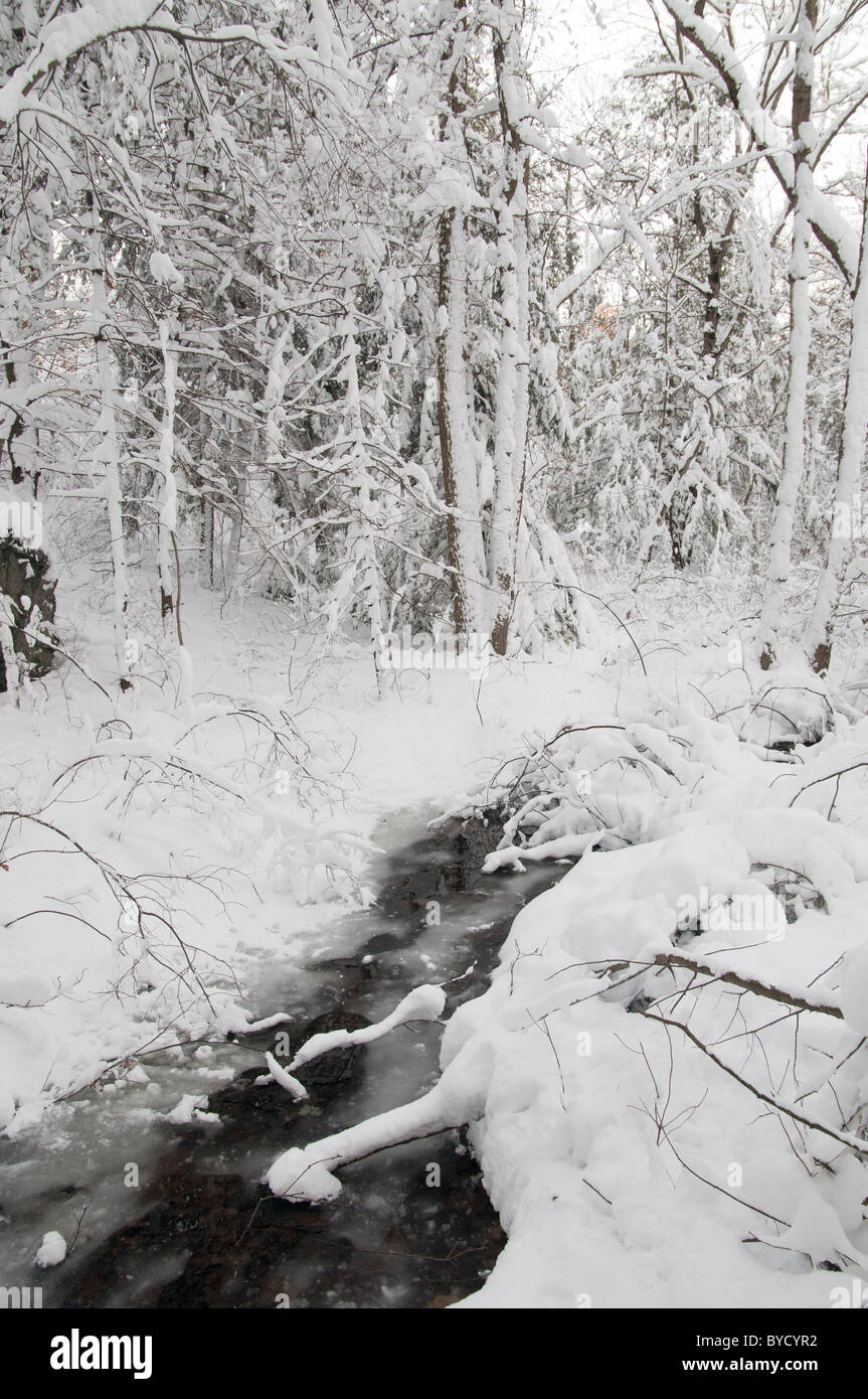 Un petit ruisseau coule à travers la neige Breakheart Reservation à Wakefield, Massachusetts Banque D'Images