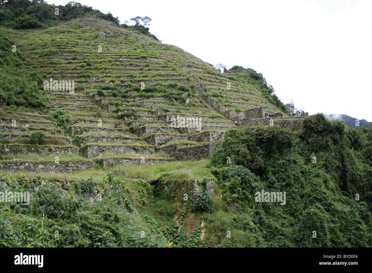 Intipata terrasses à Inca Banque D'Images