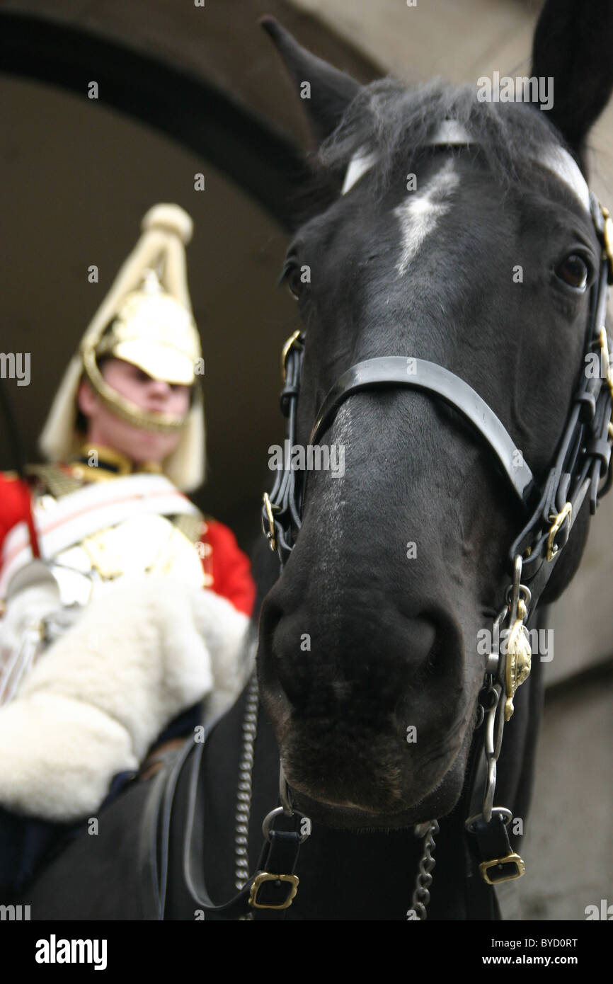 La vie de Queen's Guard - la Household Cavalry Regiment à cheval Horse Guards Banque D'Images