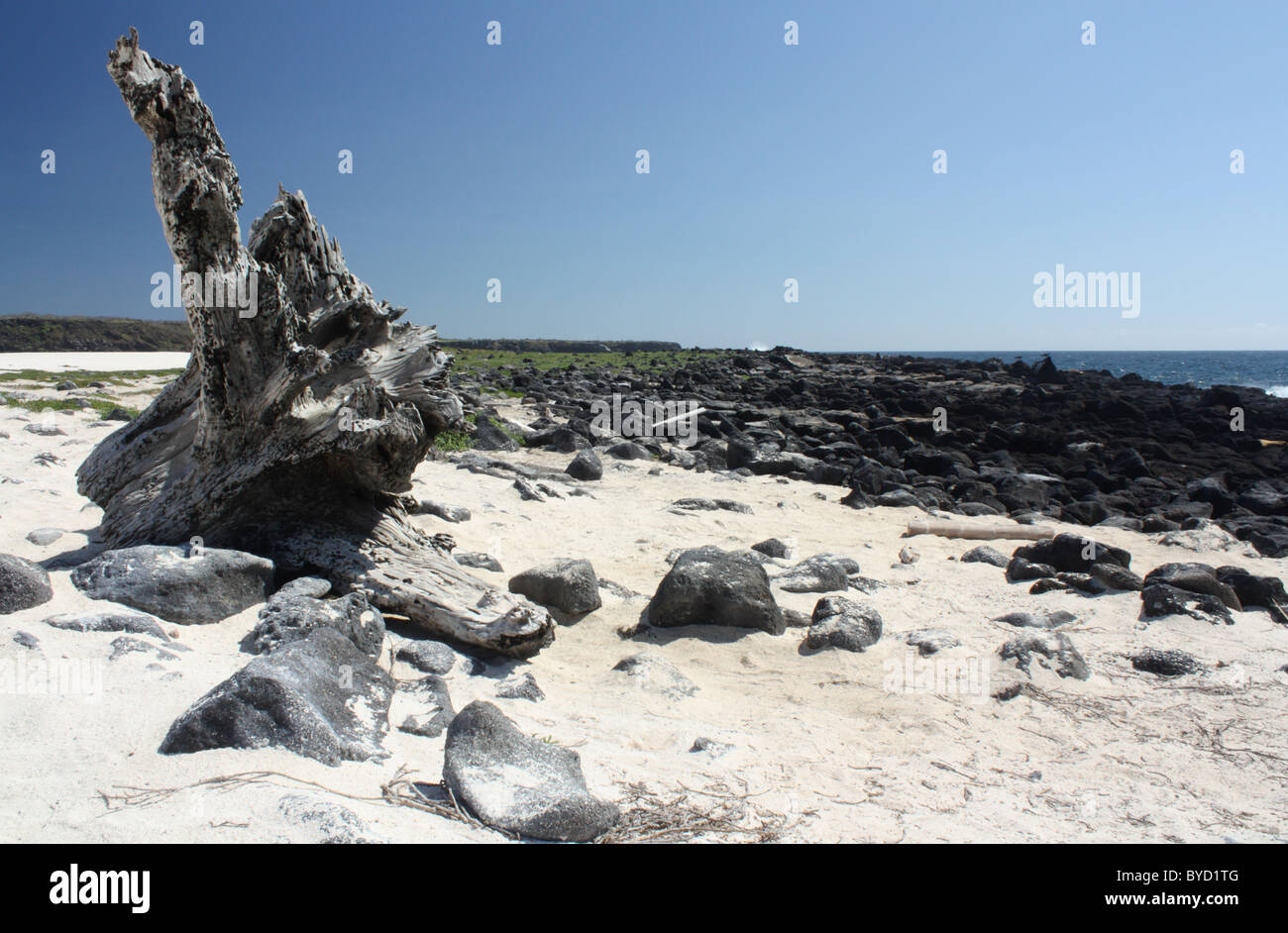 Plage de sable blanc tropicales sur Islote Mosquera dans les îles Galapagos Banque D'Images