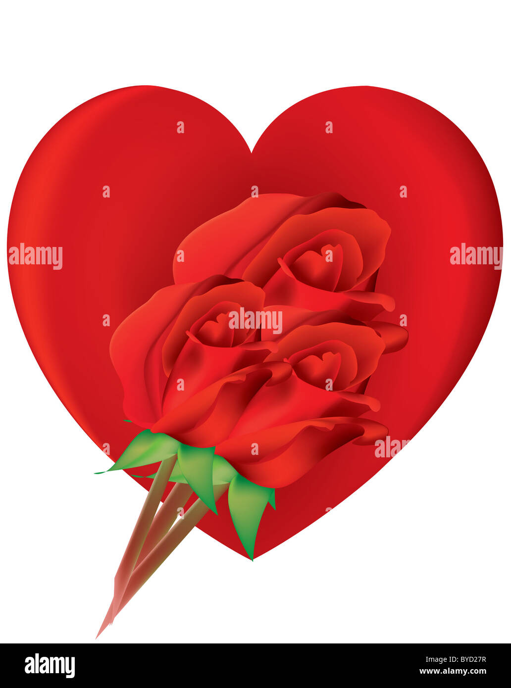 Valentine avec des roses Banque D'Images