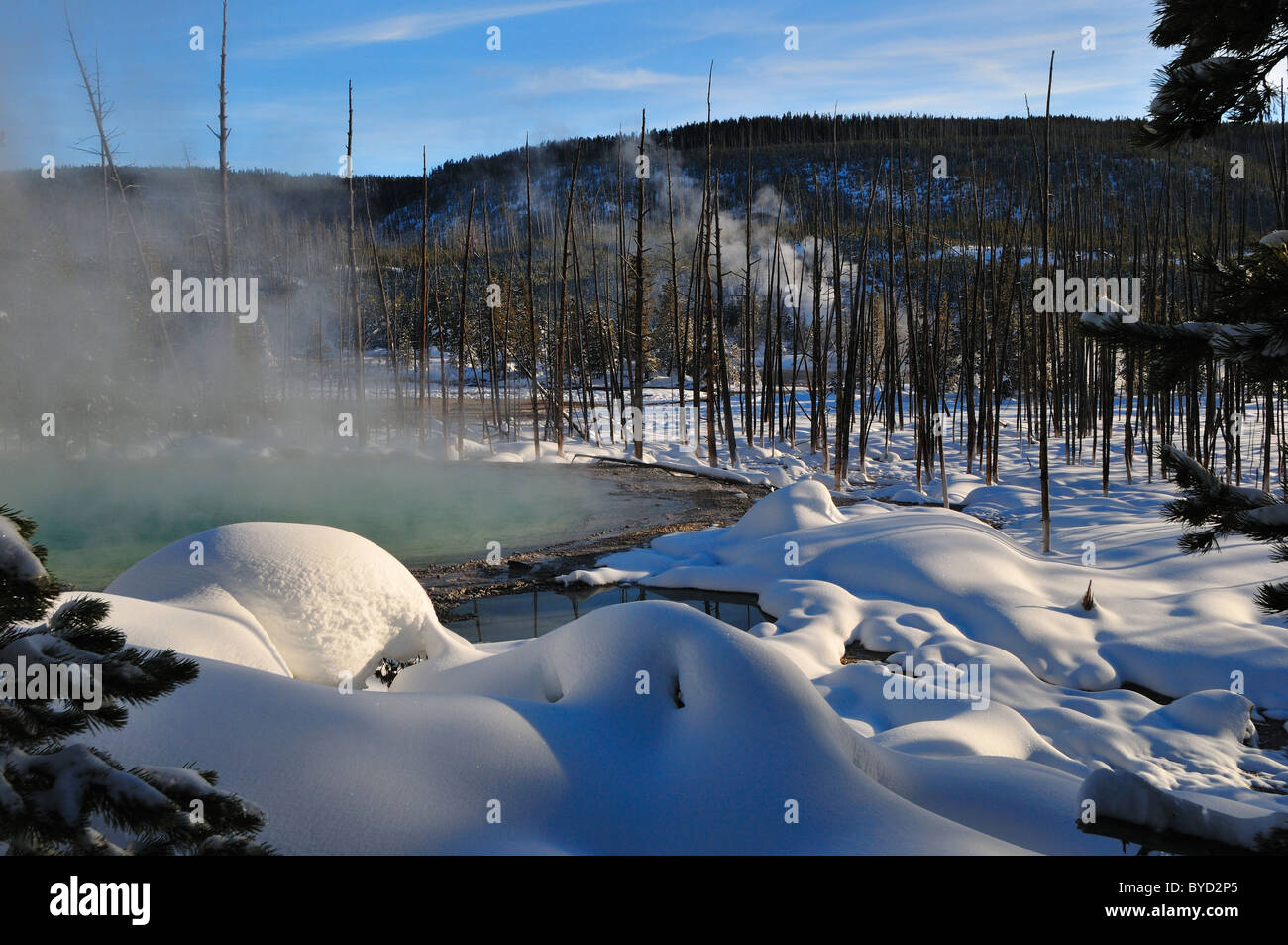 L'augmentation de la vapeur d'une source d'eau chaude. Le Parc National de Yellowstone, Wyoming, USA. Banque D'Images