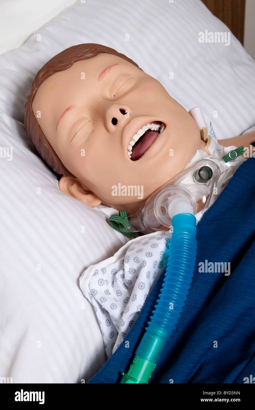 Mannequin de formation médicale (mannequin) In Hospital Bed Photo Stock