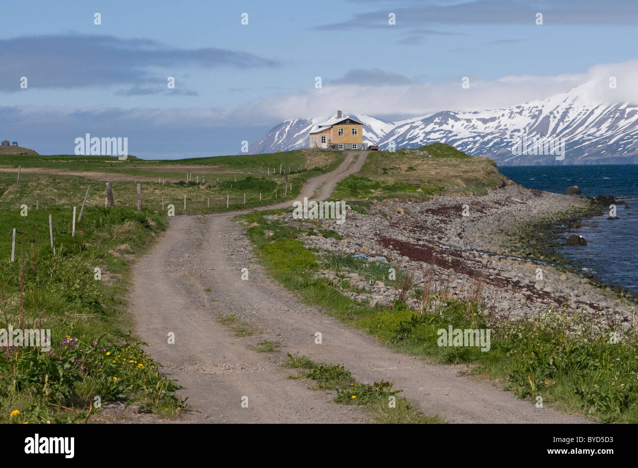 Chemin menant à house, Eyjafjoerdur, Islande, Europe Banque D'Images