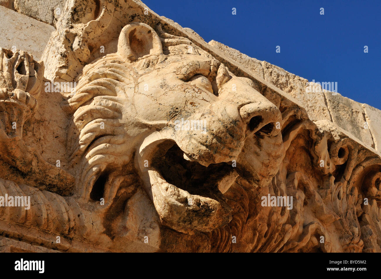 Gargouille en forme de tête de lion sur le site archéologique de Baalbek, Site du patrimoine mondial de l'UNESCO, vallée de la Bekaa, au Liban Banque D'Images