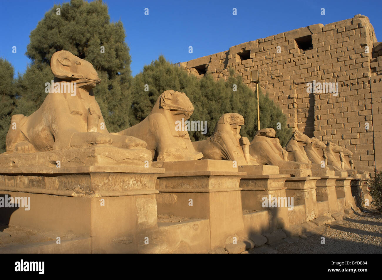 L'art égyptien Temple de Karnak. Avenue de sphinx à tête de bélier. Autour de Louxor. L'Égypte. Banque D'Images