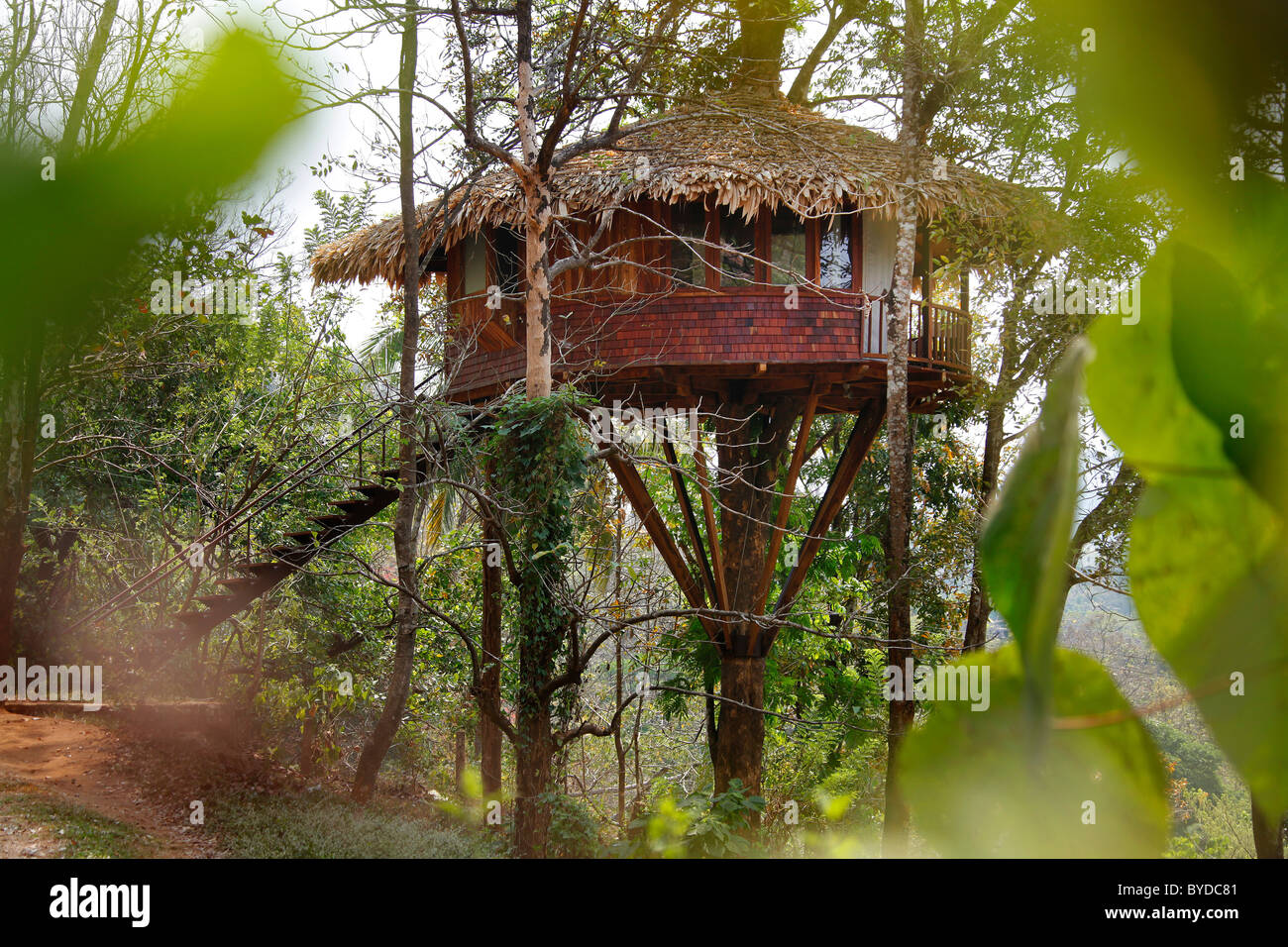 Maison de l'arbre, Tree House hôtel dans une forêt tropicale, Kallana, Chalakudi, Kerala, Inde, Asie Banque D'Images