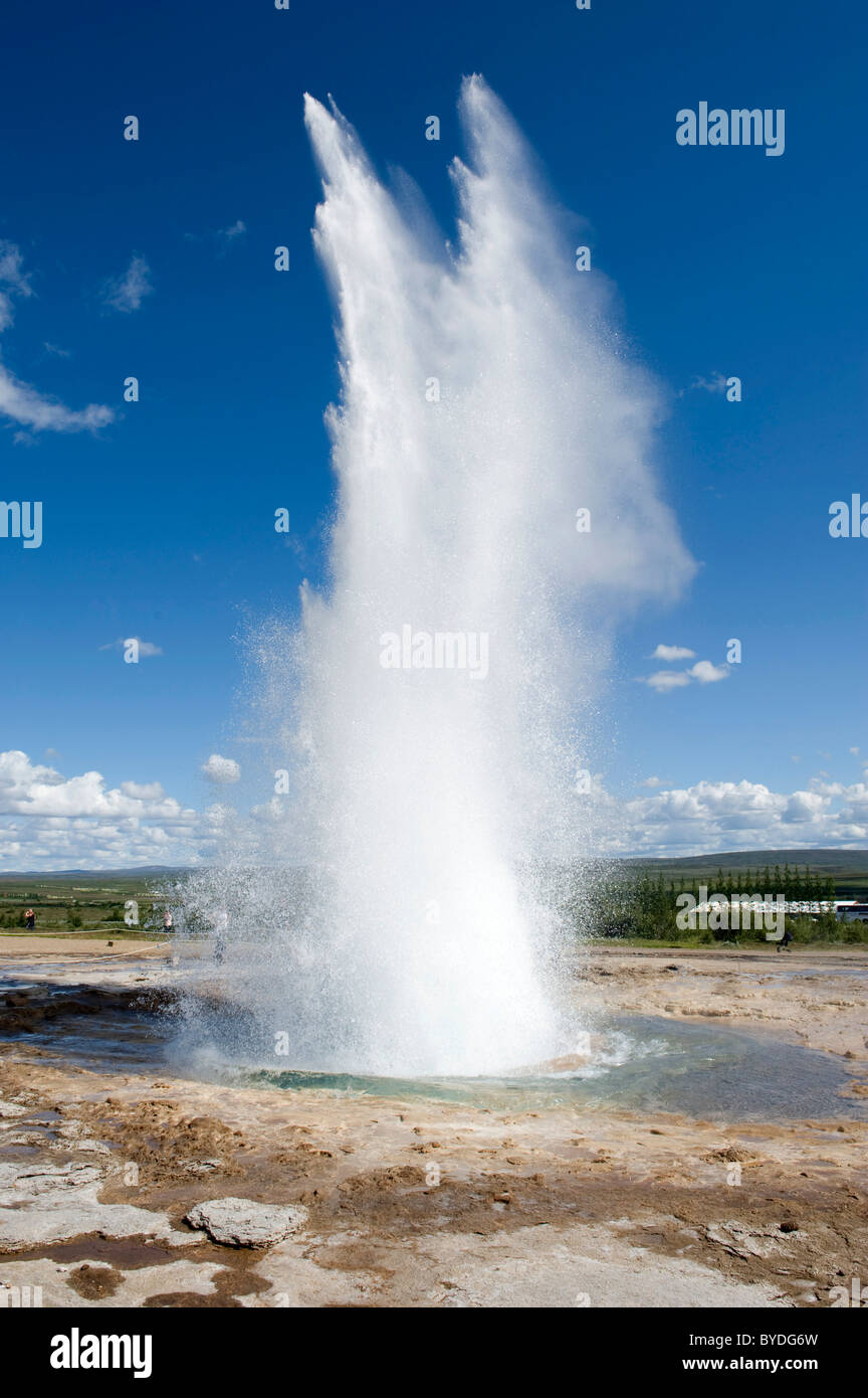Hot spring fountain, éruption, Strokkur, geyser, cercle d'or de Haukadalur, Islande, Scandinavie, dans le Nord de l'Europe Banque D'Images