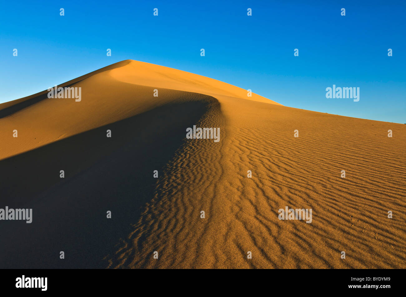 Les ondulations du sable dans les dunes de l'Appartements Mesquite sand dunes, Stovepipe Wells, Death Valley National Park, California, USA Banque D'Images