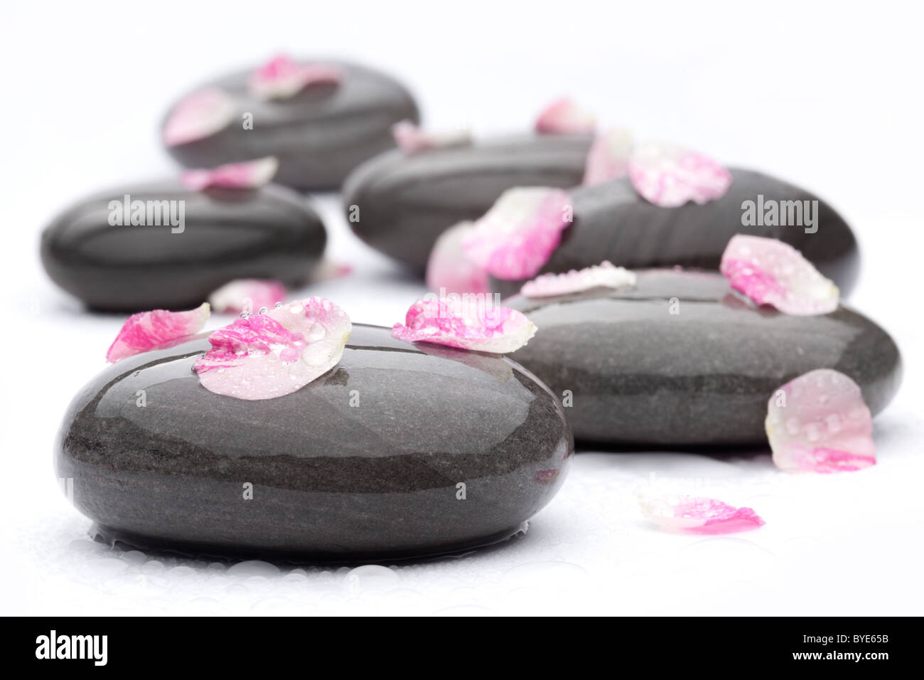 Pierres avec pentals Spa rose sur fond blanc. Banque D'Images