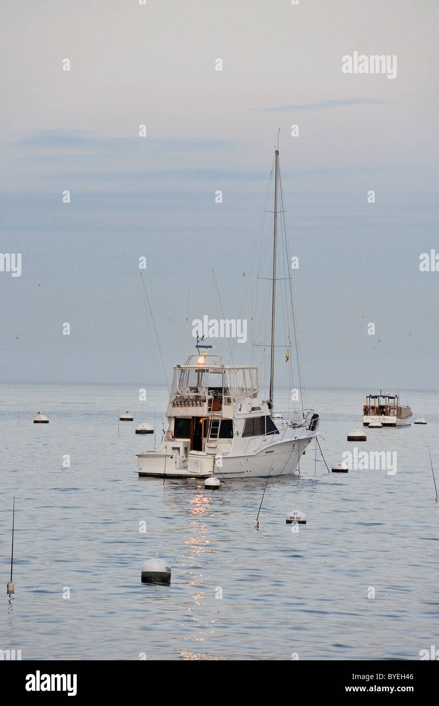 Catalina Island Banque D'Images