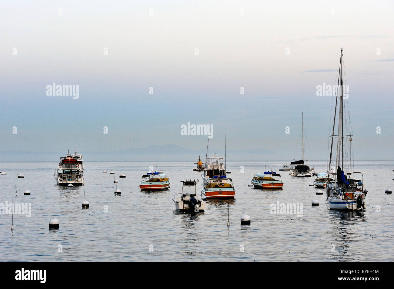 Catalina Island Banque D'Images