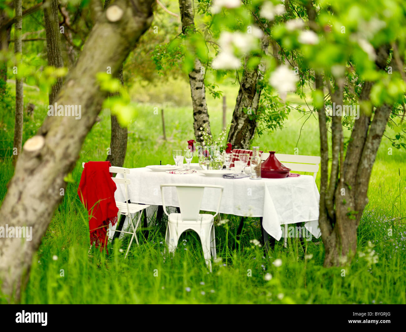 Table de pique-nique au jardin Banque D'Images