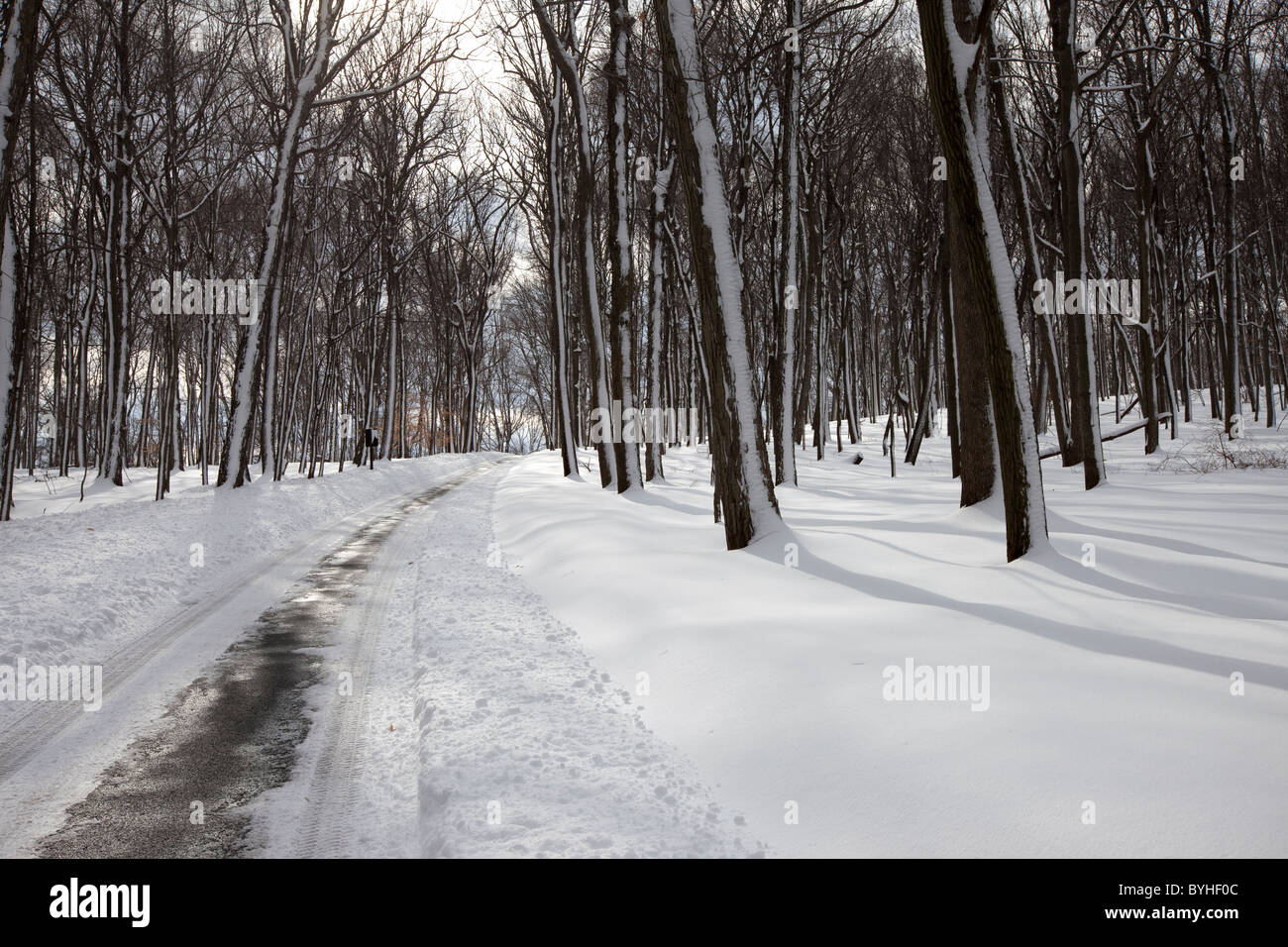 Route de campagne d'hiver, visite panoramique route qui passe par Jockey Hollow, Parc historique national de Morristown, New Jersey Banque D'Images