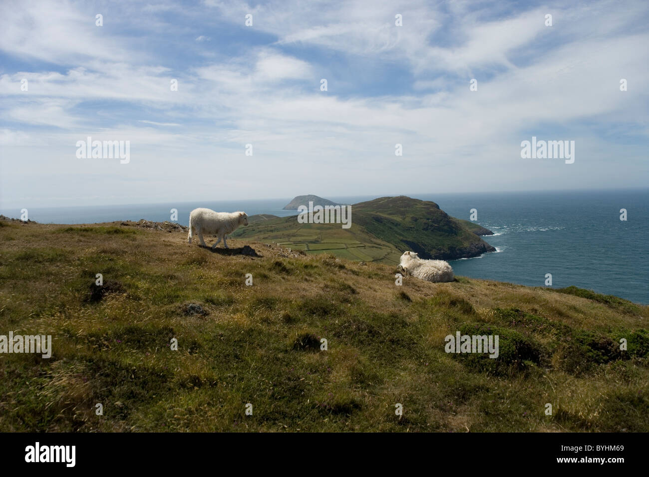 Bardsey Island et la pointe de la péninsule de Lleyn d Anelog hill Banque D'Images