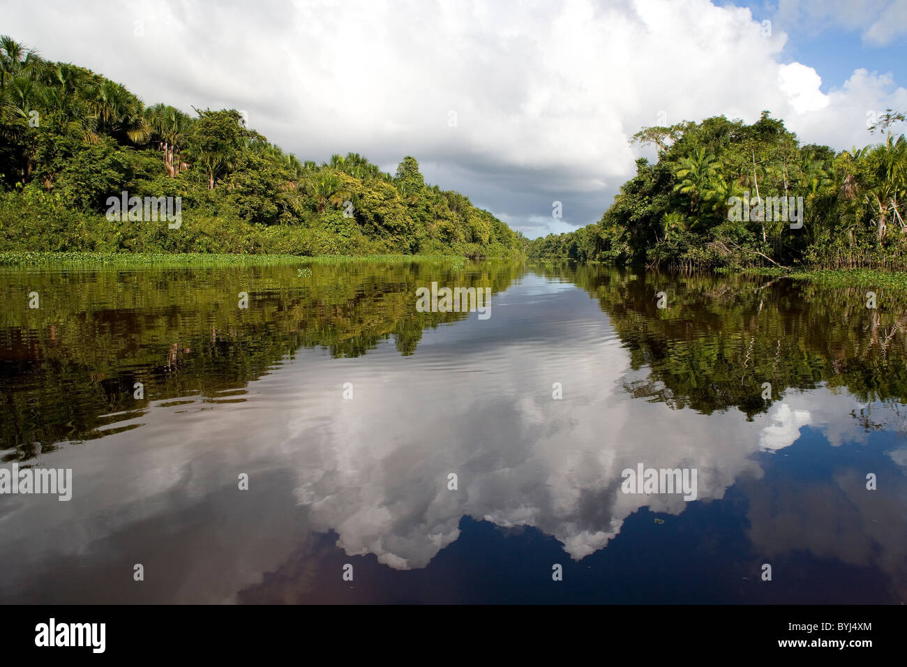 Photographie de paysage de rivières Orinoco végétation littoral bleu ciel et les nuages blancs réfléchi sur le miroir comme les eaux Banque D'Images