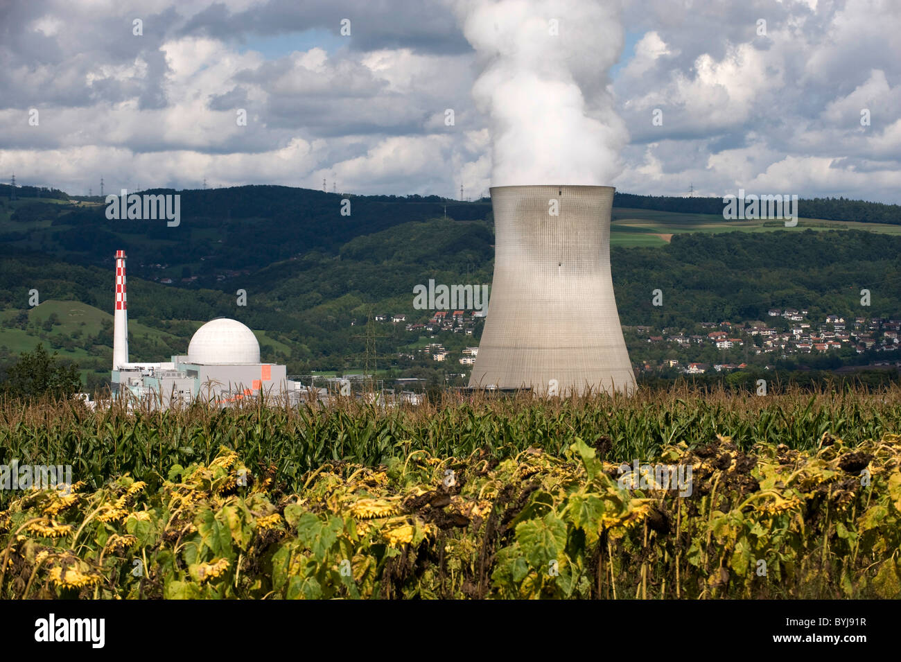Centrale nucléaire, Leibstadt, Suisse Banque D'Images