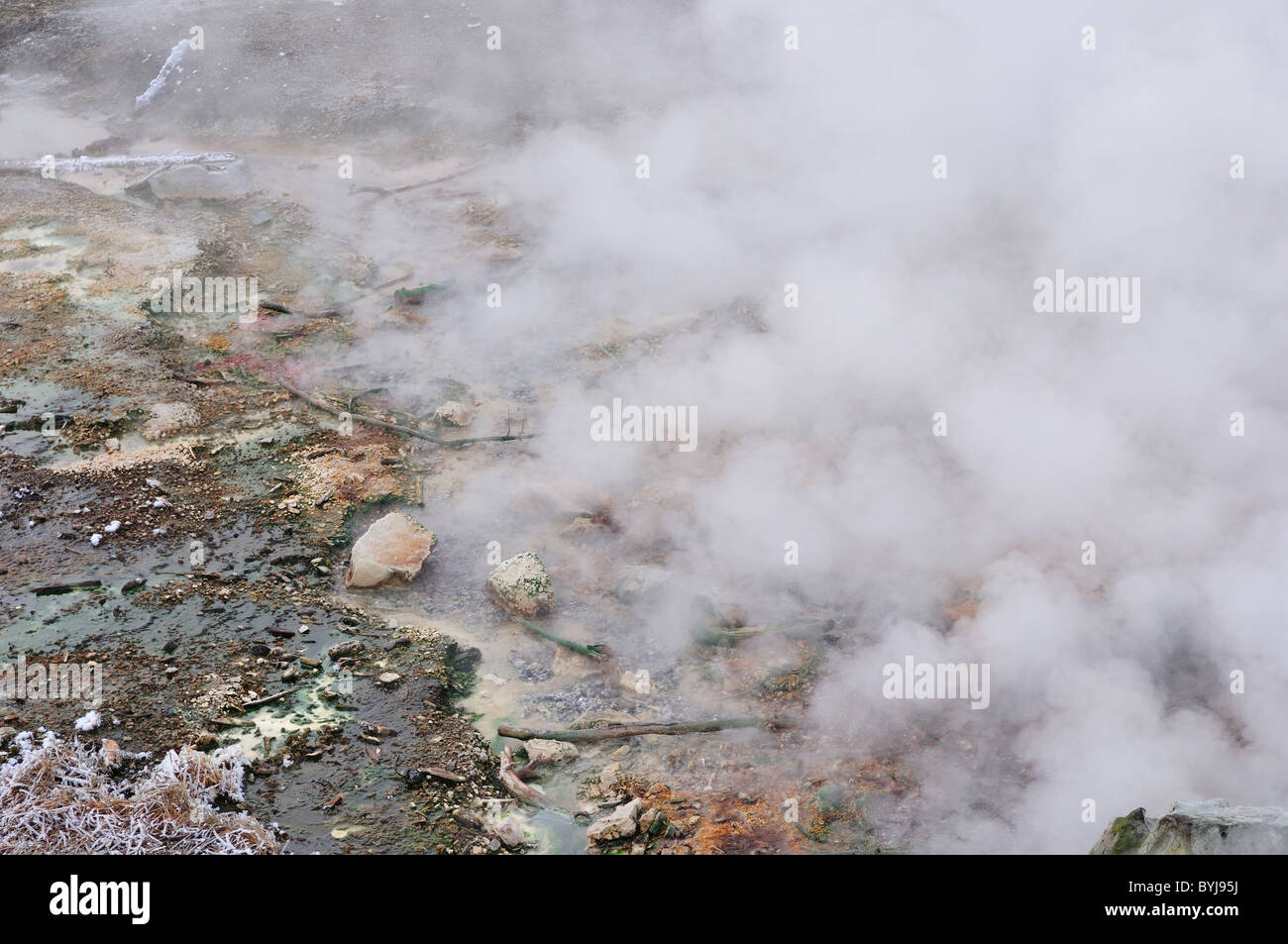 L'augmentation de vapeur de l'eau bouillante d'une source d'eau chaude. Le Parc National de Yellowstone, Wyoming, USA. Banque D'Images