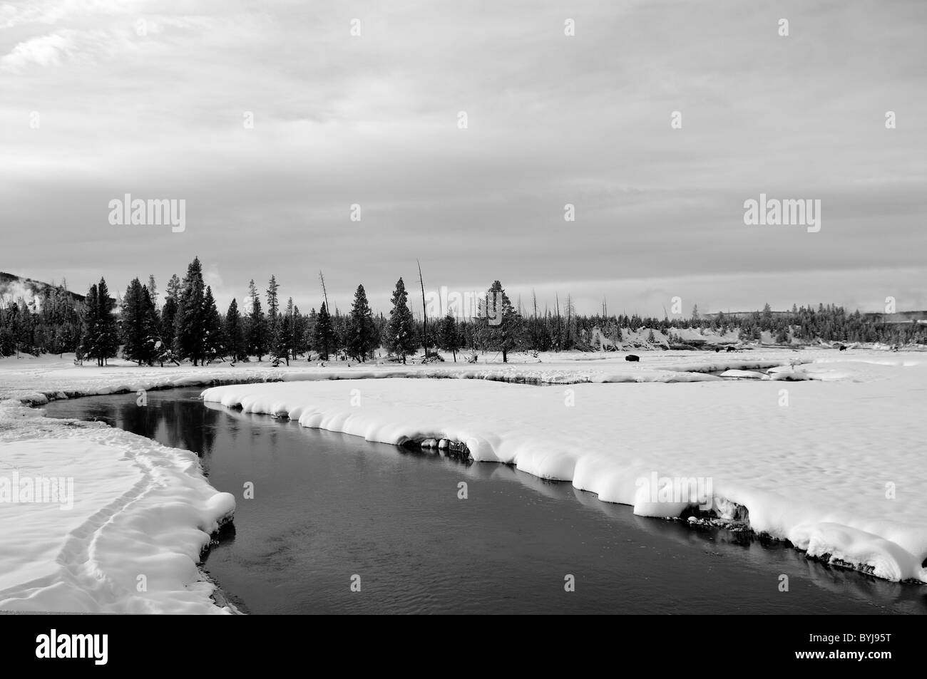 Une courbe de la rivière Yellowstone. Le Parc National de Yellowstone, Wyoming, USA. Banque D'Images