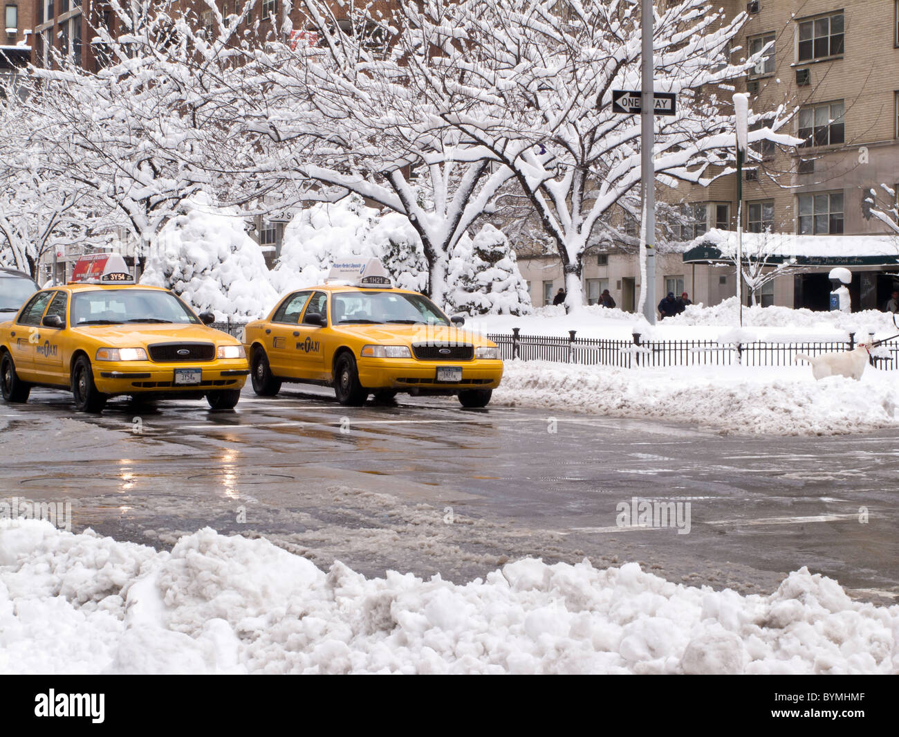Des taxis , Tempête de neige, Park Avenue, Murray Hill, NEW YORK Banque D'Images