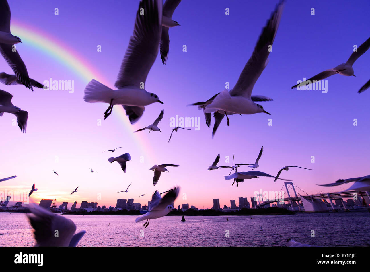 Troupeau de Segulls volant près de Tokyo Banque D'Images