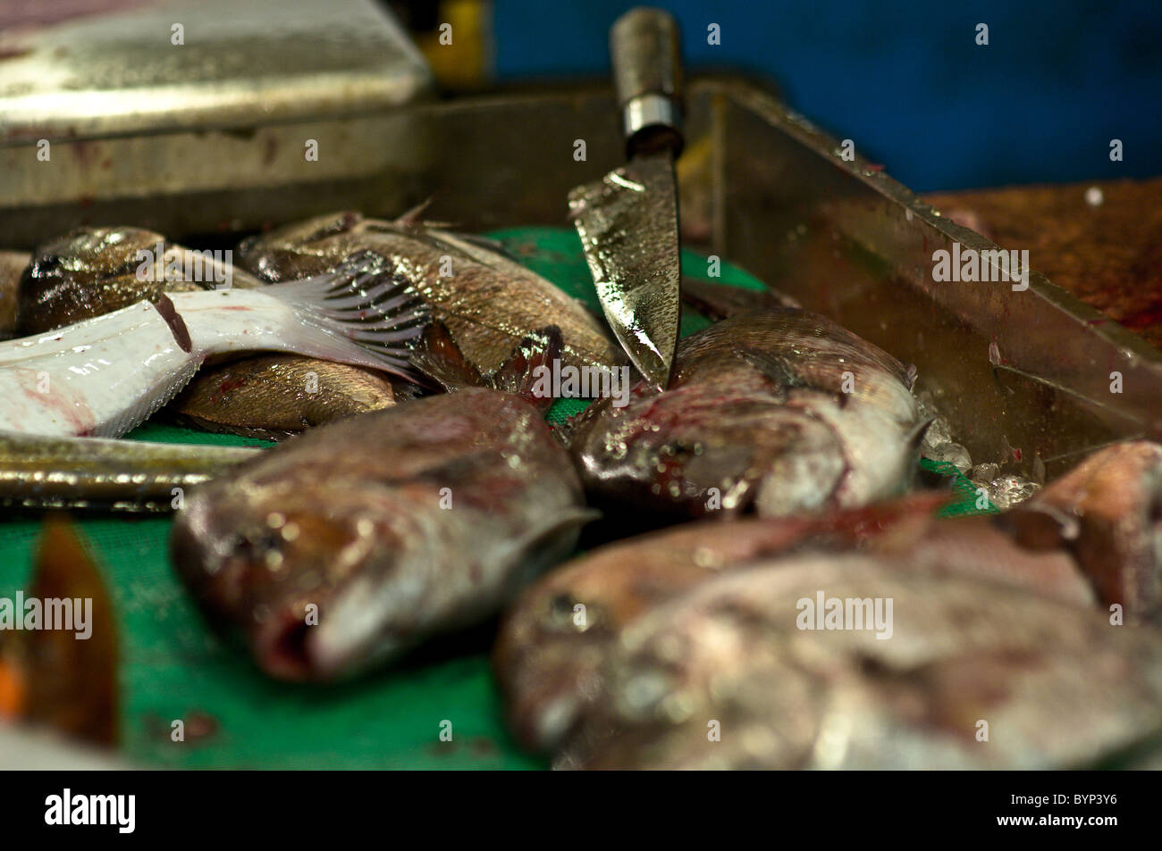 Couteau à poisson et le marché aux poissons de Tsukiji Banque D'Images