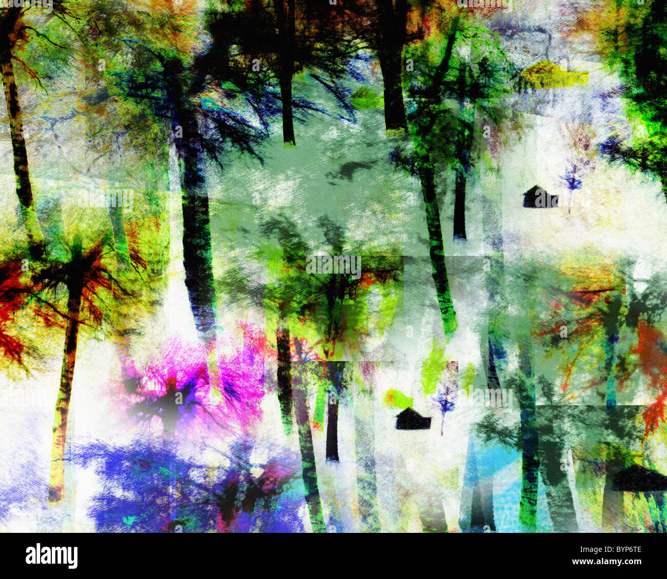 L'ART NUMÉRIQUE : Magic Woods Banque D'Images