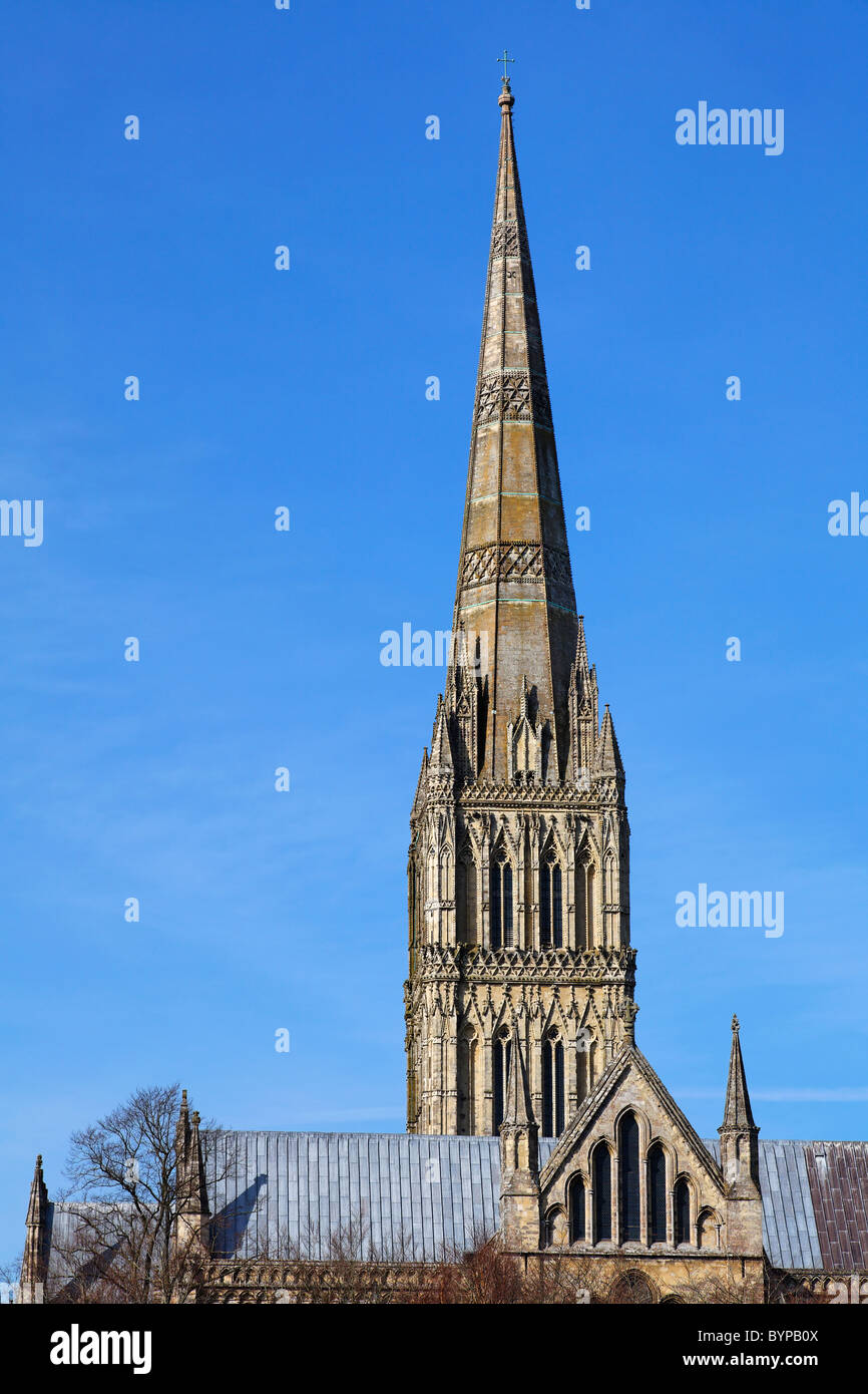 La cathédrale de Salisbury, Salisbury, Wiltshire, Angleterre Banque D'Images