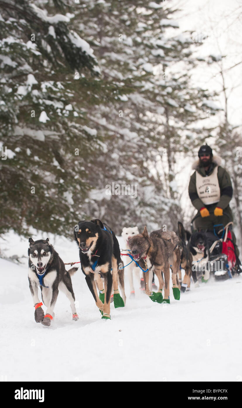 MATT GROTH conduit son équipe de chiens vers TRAIL CENTRE CHECK POINT Banque D'Images