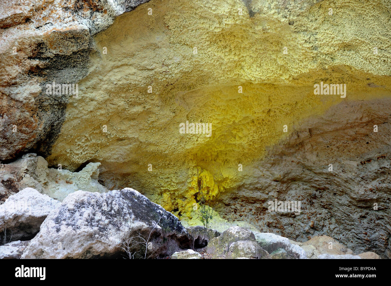 Des dépôts de soufre élémentaire autour de vents à Wai-o-tapu région géothermique en Nouvelle Zélande Banque D'Images