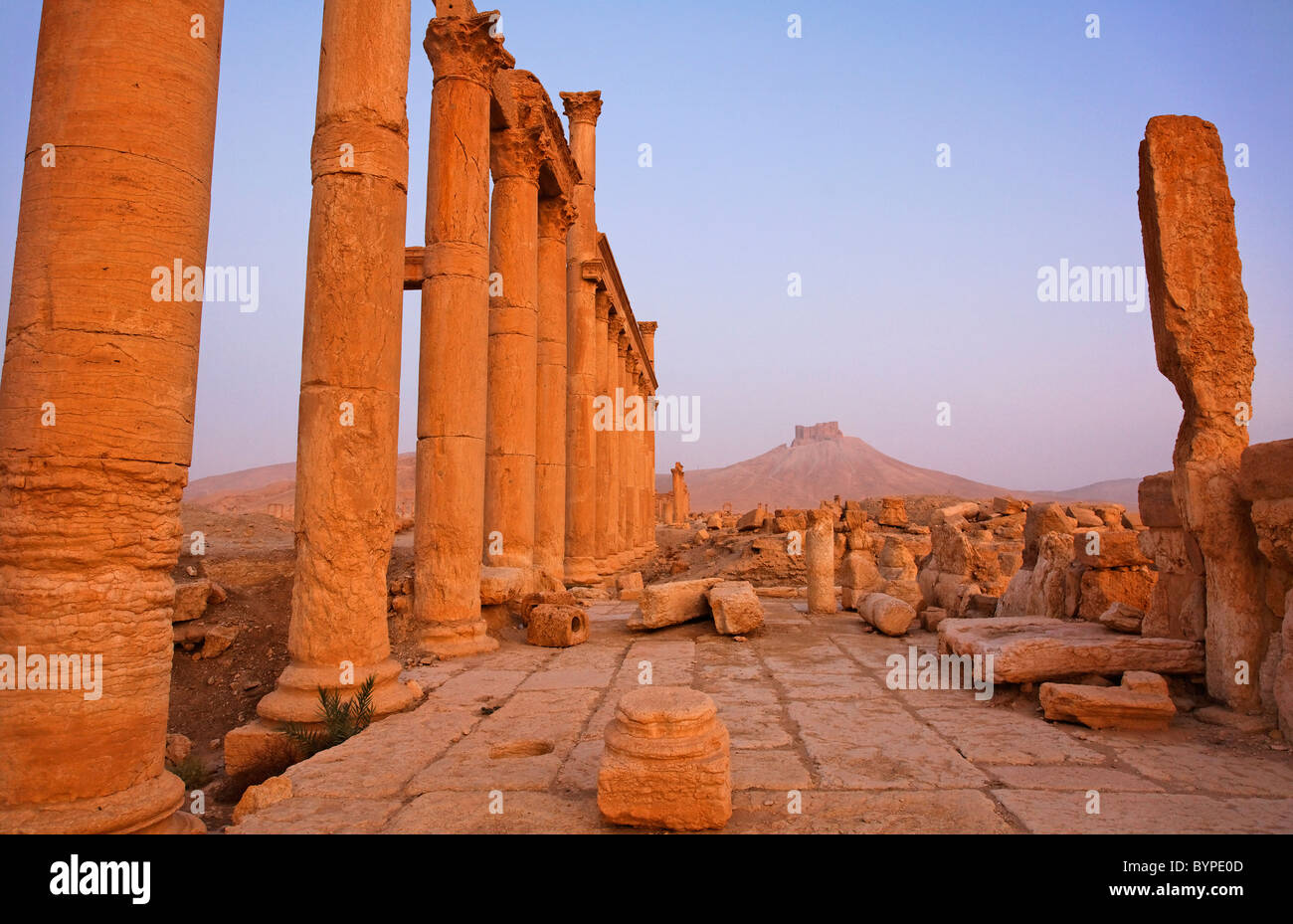 La rue à colonnade et château arabe à Palmyra, Syrie Banque D'Images