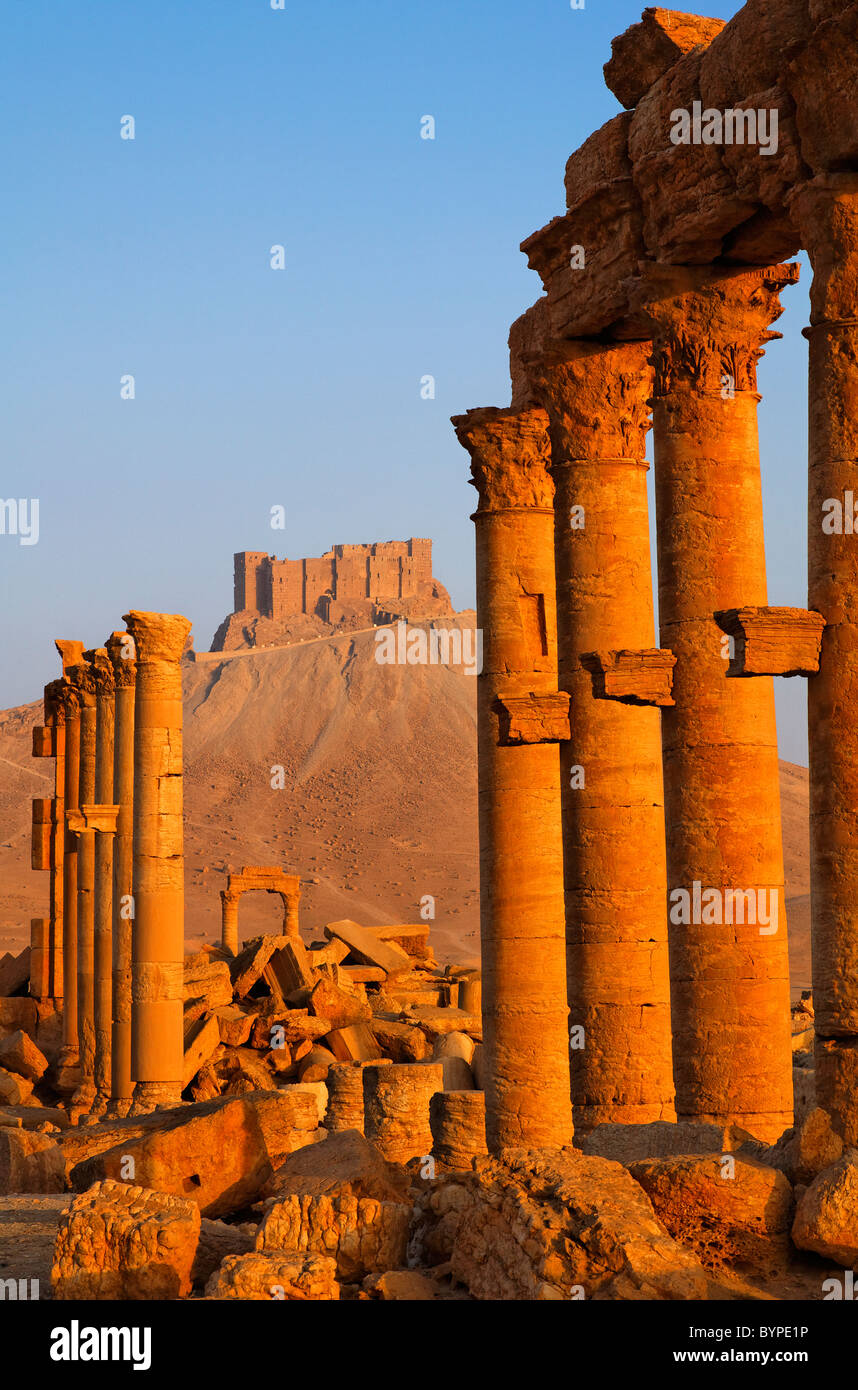 La rue à Colonnade et le château arabe, Palmyra, Syrie Banque D'Images