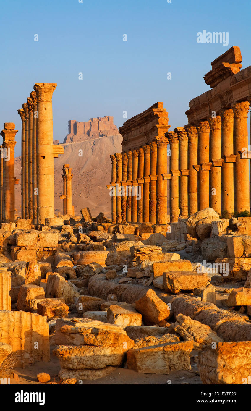 La rue à Colonnade et le château arabe, Palmyra, Syrie Banque D'Images