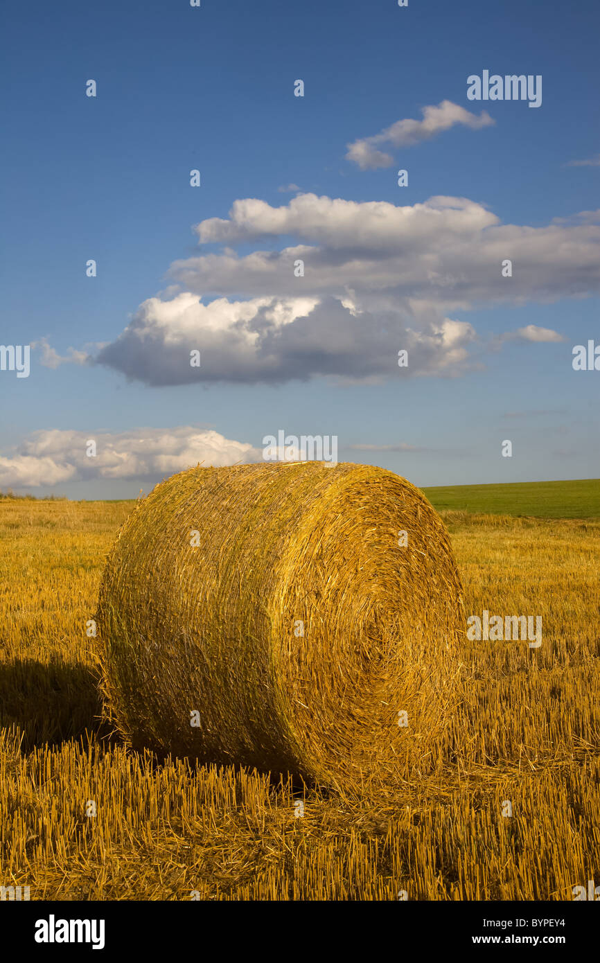 Botte de paille, typique paysage d'automne en Allemagne Banque D'Images