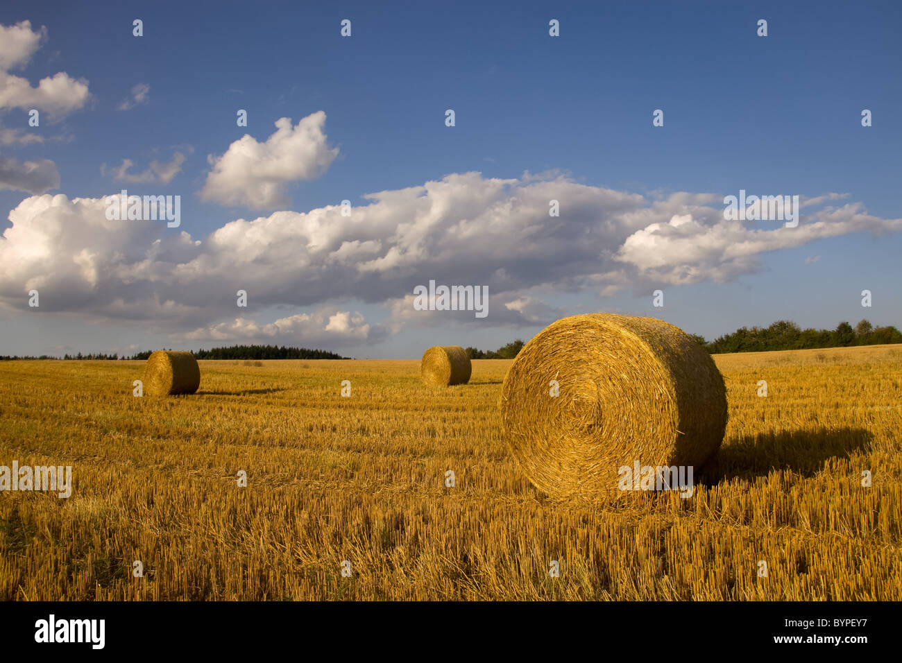 Strohballen abgeernteten auf rund Feld, Rheinland-Pfalz, Deutschland botte de paille, typique paysage d'automne en Allemagne Banque D'Images