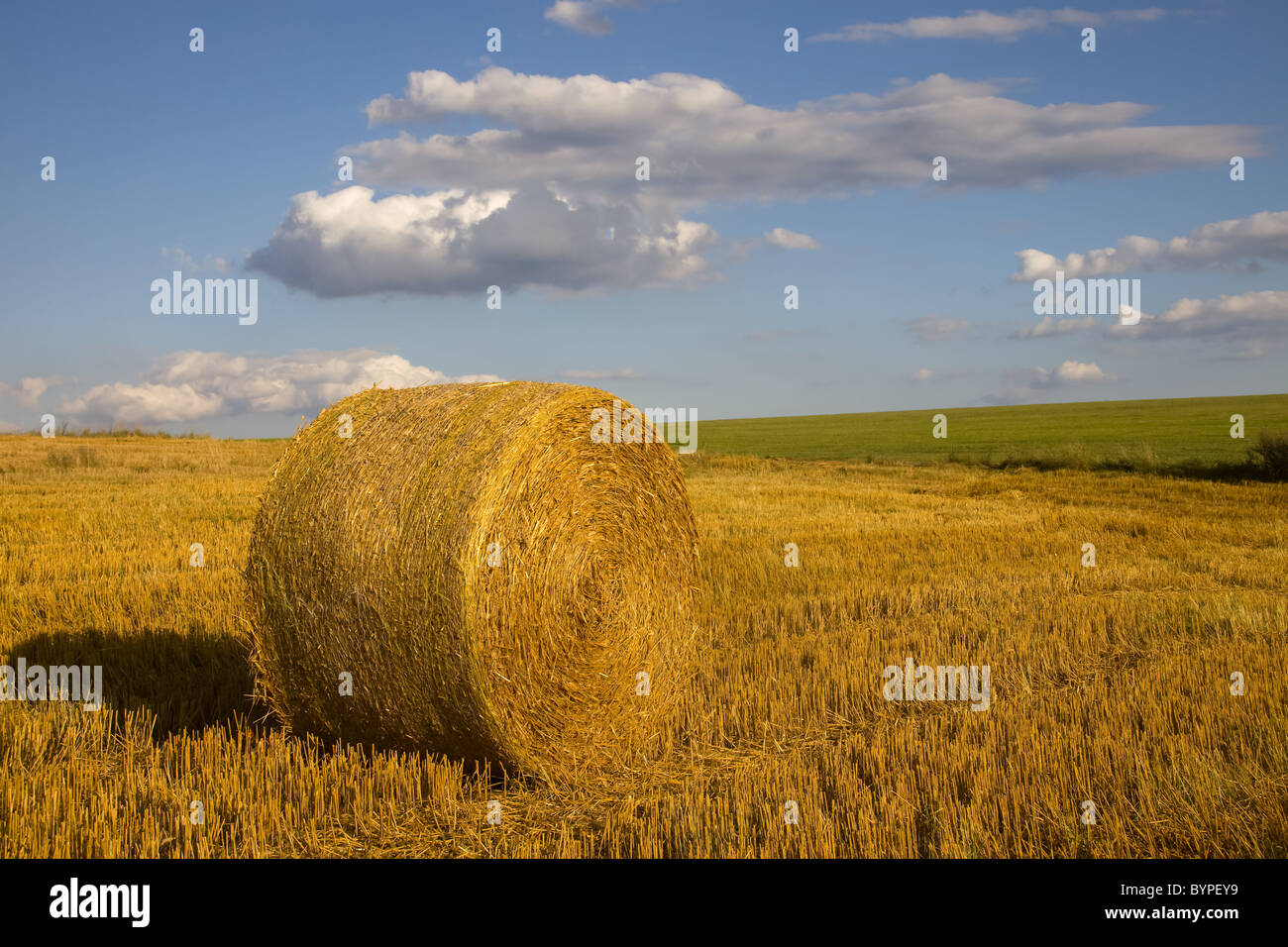 Botte de paille, typique paysage d'automne en Allemagne Banque D'Images