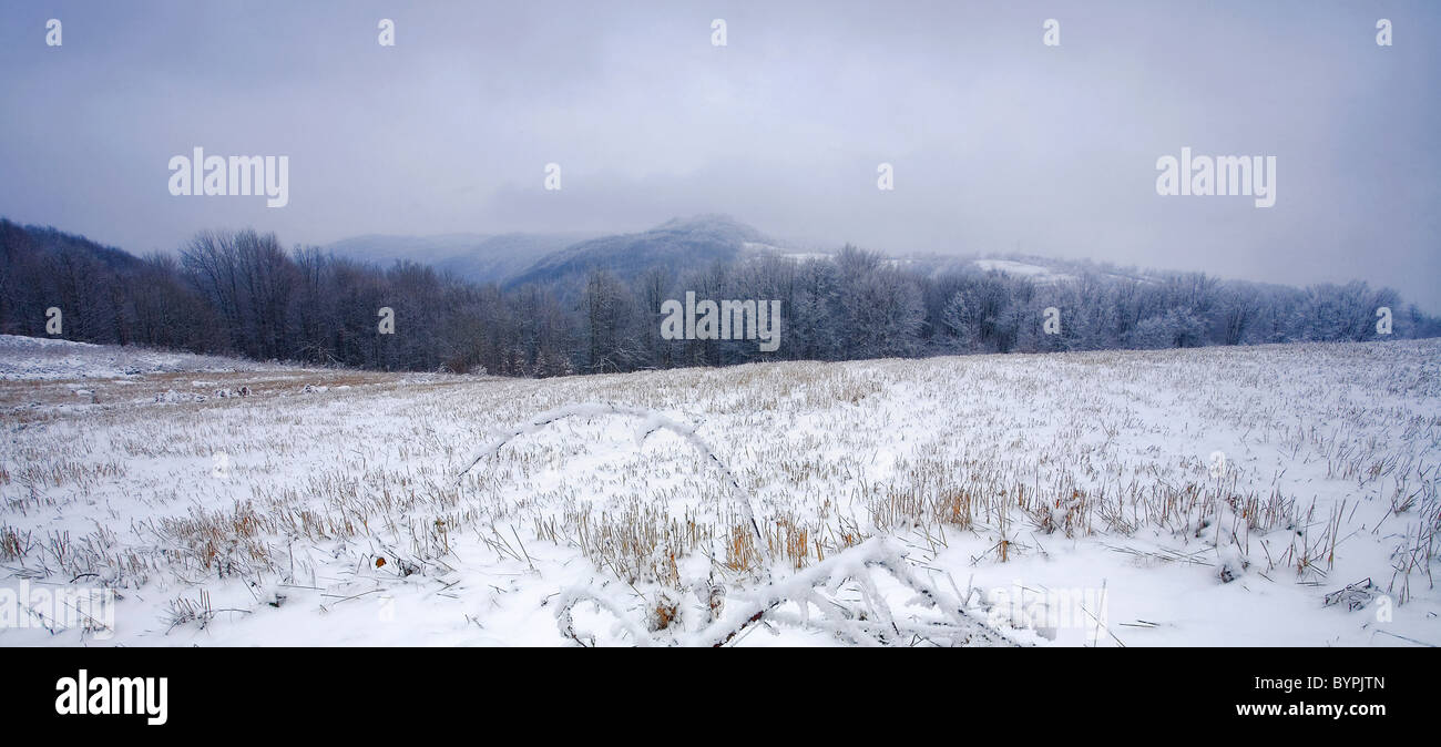 La vie du village de Serbie, la saison d'hiver, des endroits spéciaux de la montagne Jelica environs. Banque D'Images