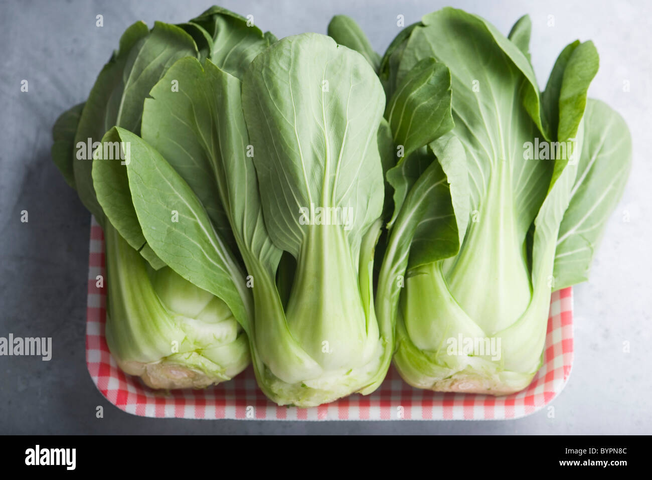 Fresh bok choy Banque D'Images