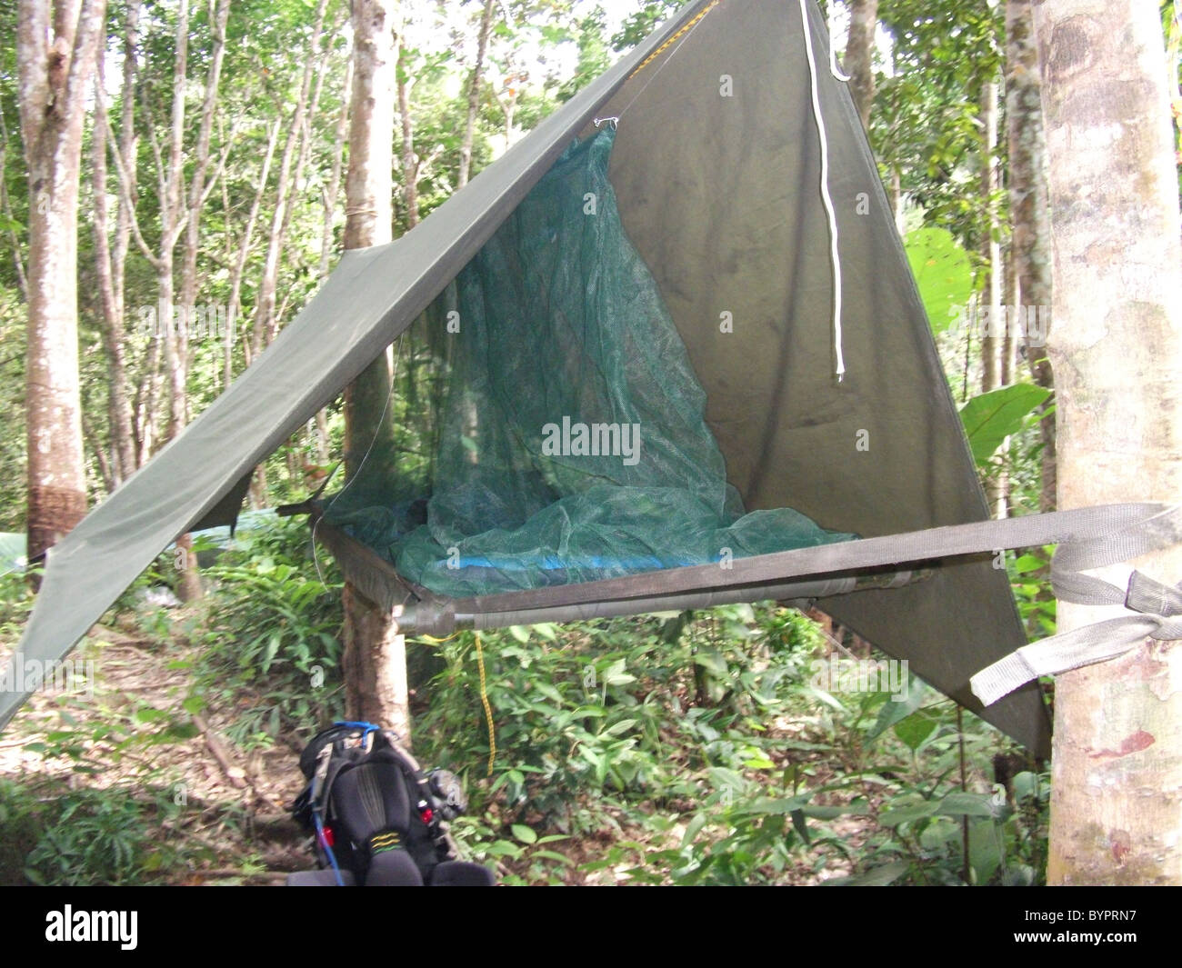 Hamac moustiquaire jungle camp Bornéo Photo Stock - Alamy