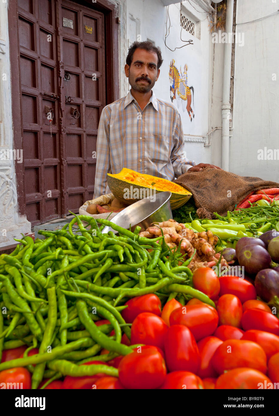 L'Inde, Rajasthan, Udaipur, vendeur de légumes portrait Banque D'Images